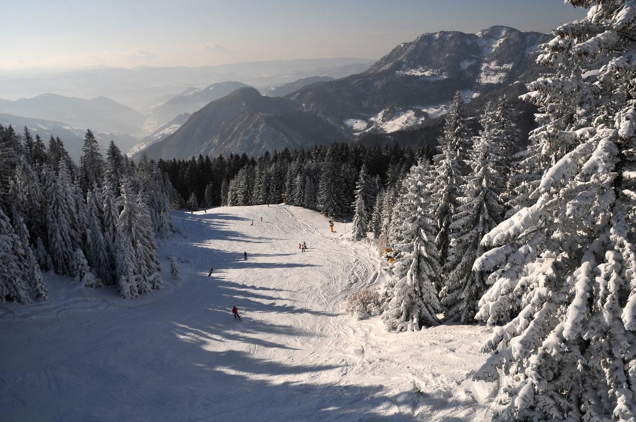 Alpska Perla Apartments Cerkno Buitenkant foto