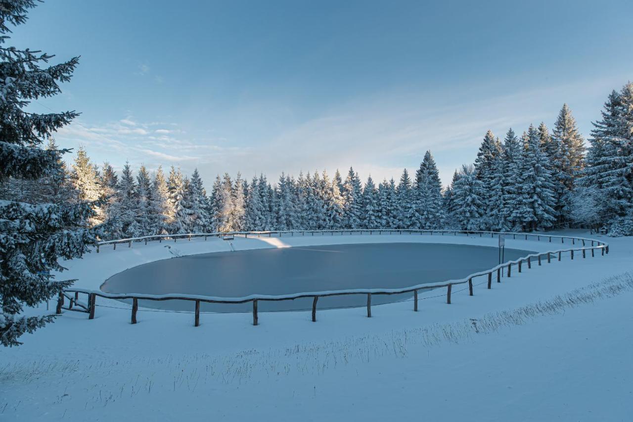 Alpska Perla Apartments Cerkno Buitenkant foto